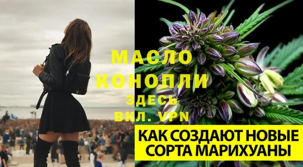 спайс Семёнов