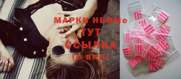 шишки Сосновый Бор