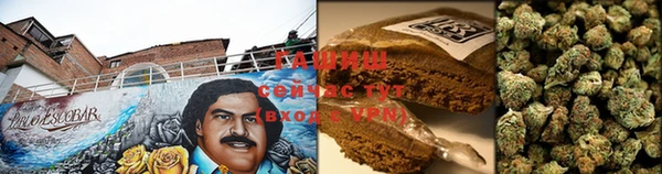 шишки Сосновый Бор