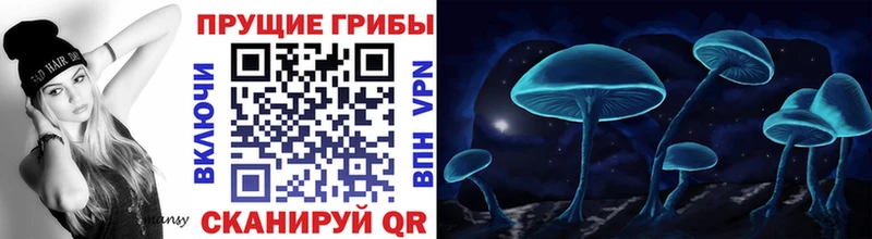 Галлюциногенные грибы GOLDEN TEACHER Купить где Дубовка